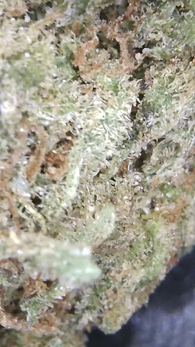 Growreport Bild 16