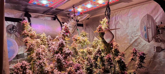 Growreport Bild 3