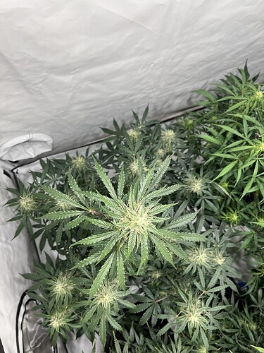 Growreport Bild 11