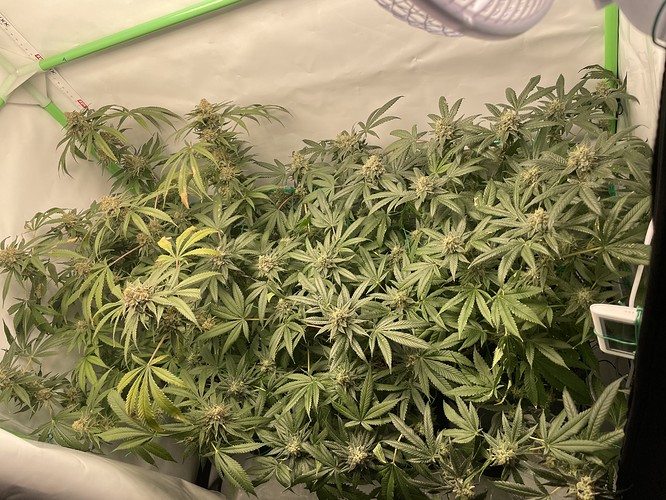 Growreport Bild 8