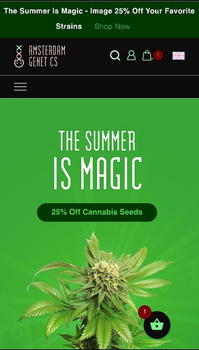 Screenshot_20230621-143744_Samsung Internet