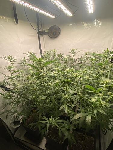 Growreport Bild 5