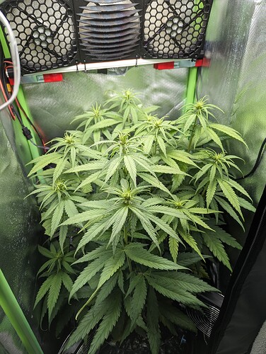 Growreport Bild 5