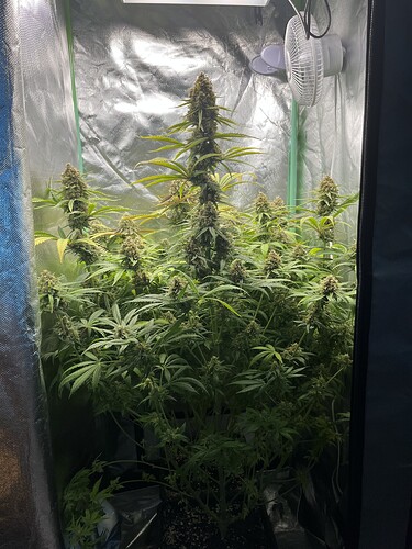 Growreport Bild 1