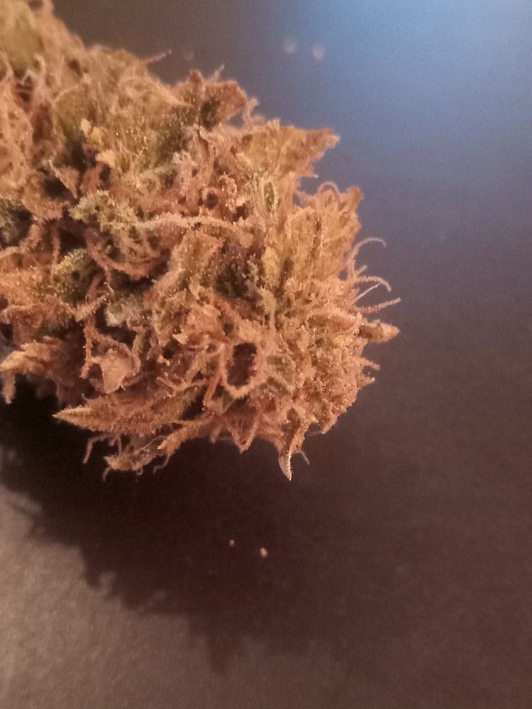 PrinzessinBabaFee: OpiumxLSD und DTC99