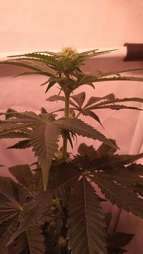 Growreport Bild 17
