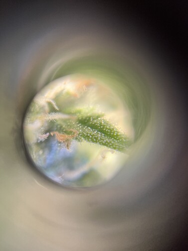 Growreport Bild 2