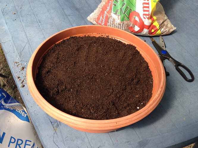 Growreport Bild 81