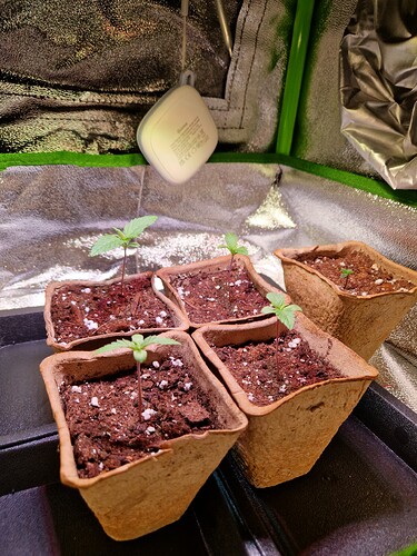 Growreport Bild 13