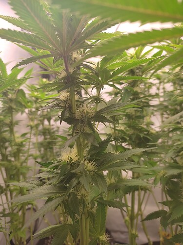 Growreport Bild 20