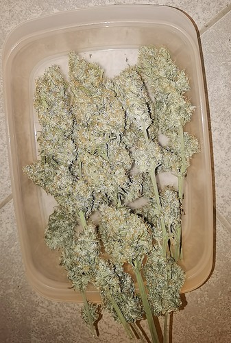Growreport Bild 13