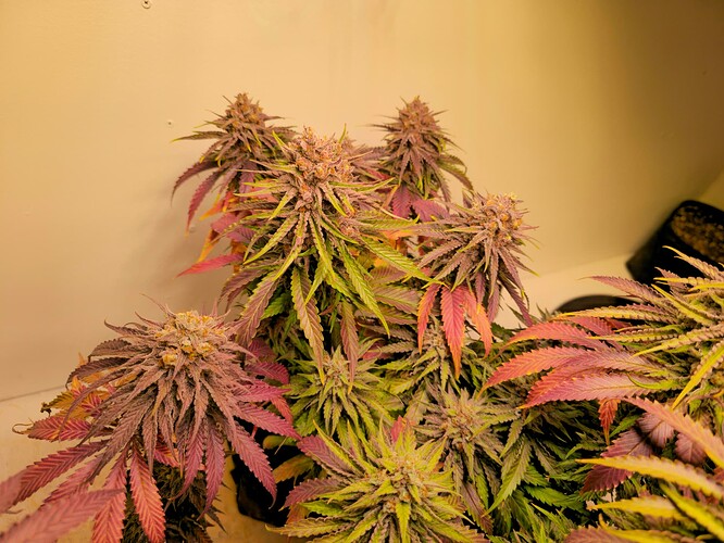Growreport Bild 22