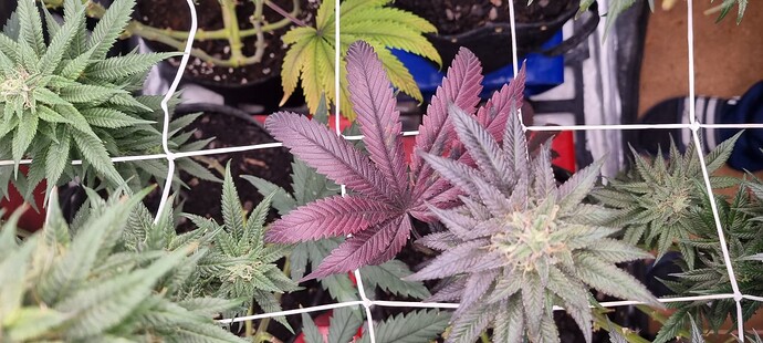 Growreport Bild 12