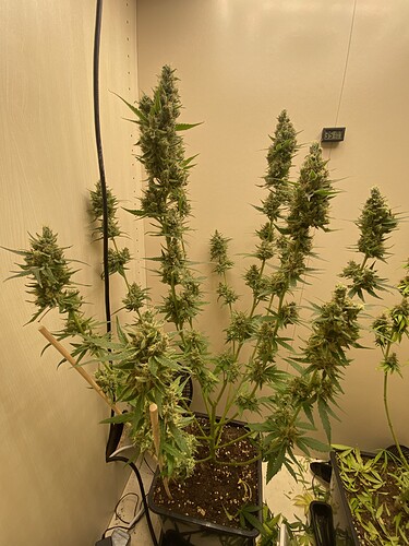 Growreport Bild 18
