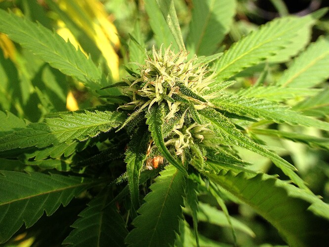 Growreport Bild 6