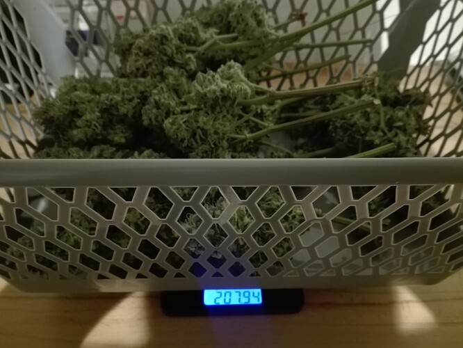 Growreport Bild 8