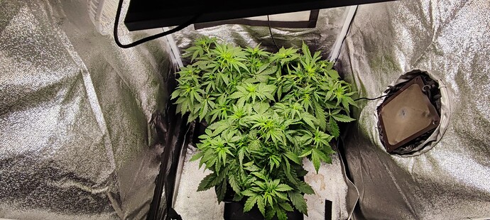 Growreport Bild 4