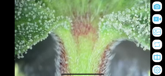 Growreport Bild 13