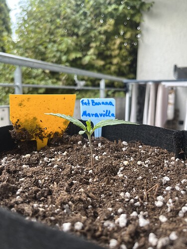 Growreport Bild 11