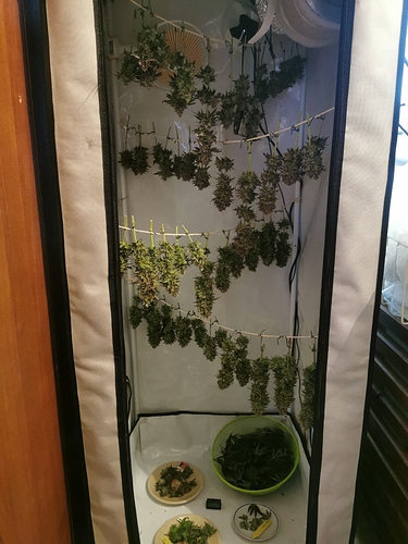Growreport Bild 4