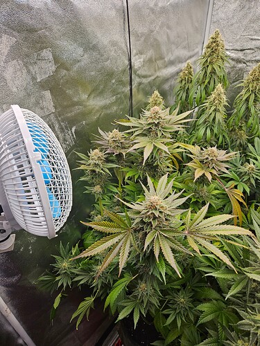 Growreport Bild 25