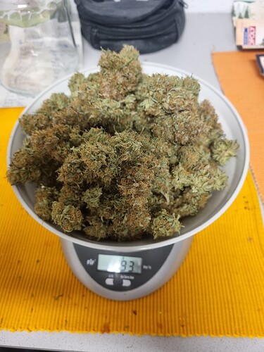 Growreport Bild 8
