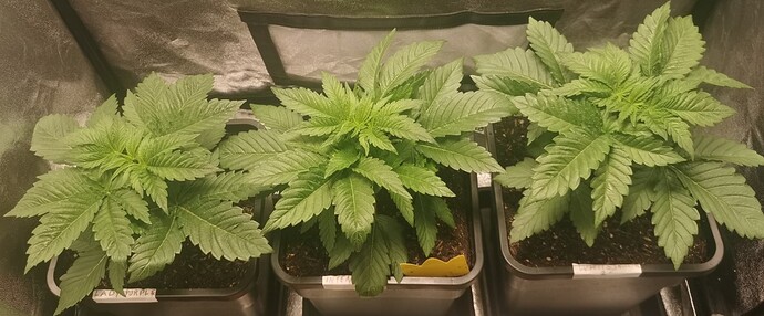 Growreport Bild 10