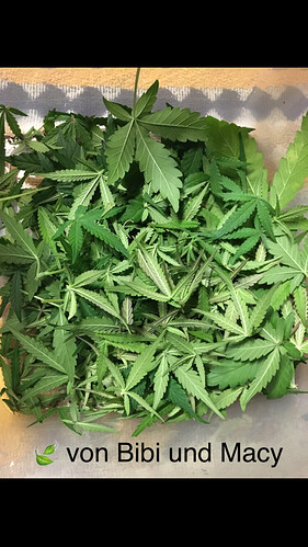 Growreport Bild 14