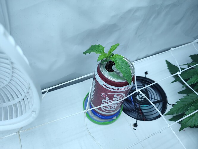 Growreport Bild 22