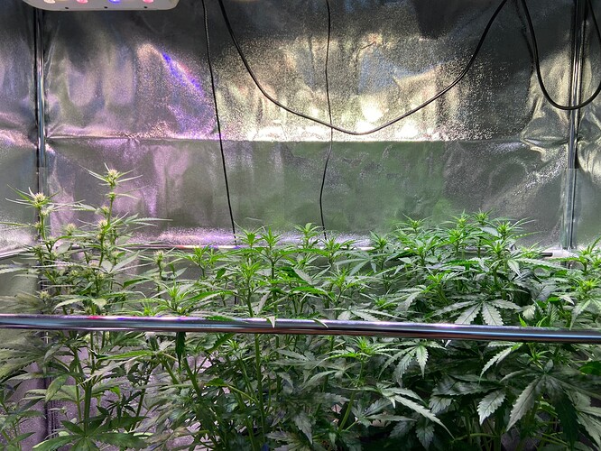 Growreport Bild 3