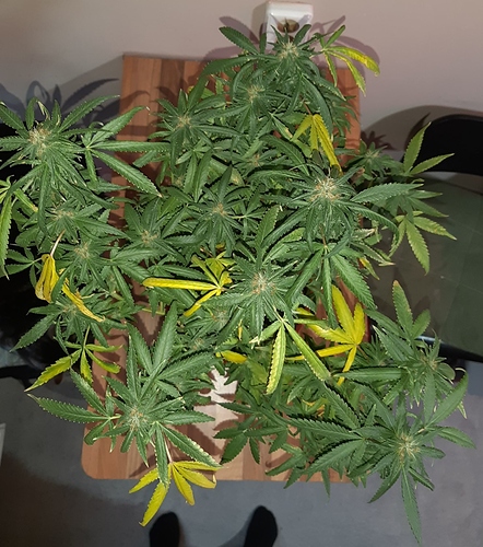 Growreport Bild 14