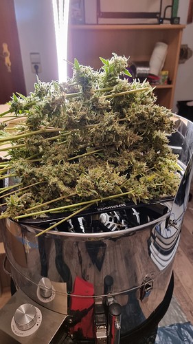 Growreport Bild 16