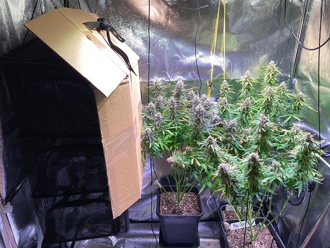 Growreport Bild 12