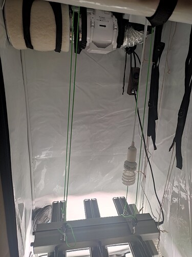 Growreport Bild 8