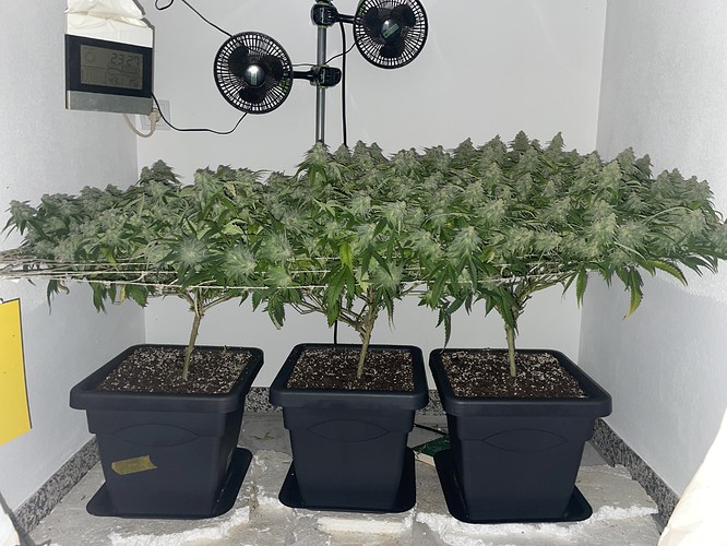 Growreport Bild 18