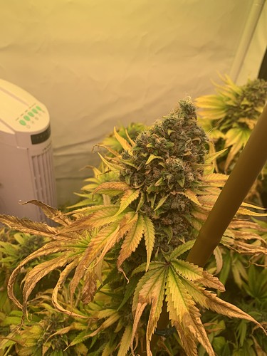 Growreport Bild 5