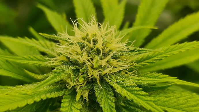 Growreport Bild 10