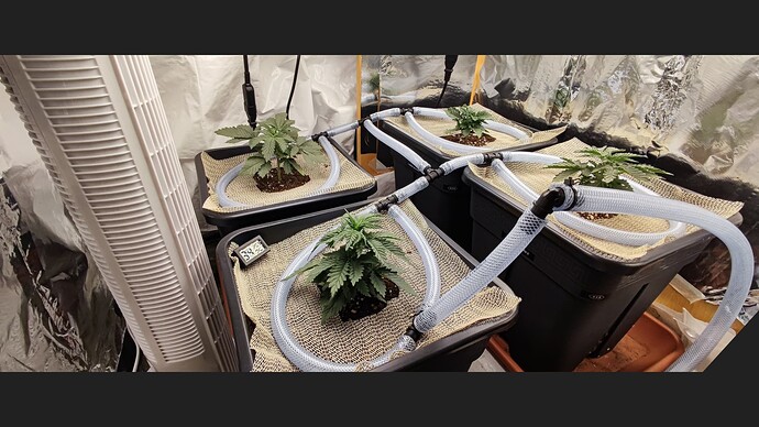 Growreport Bild 2