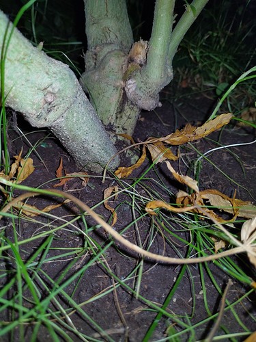 Growreport Bild 18