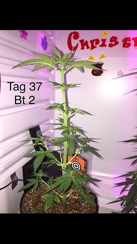 Growreport Bild 7