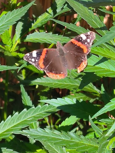 Growreport Bild 24