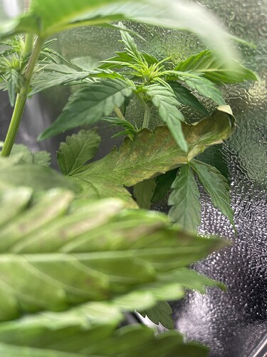 Growreport Bild 10