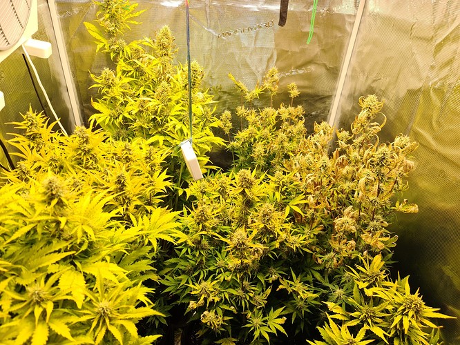 Growreport Bild 5