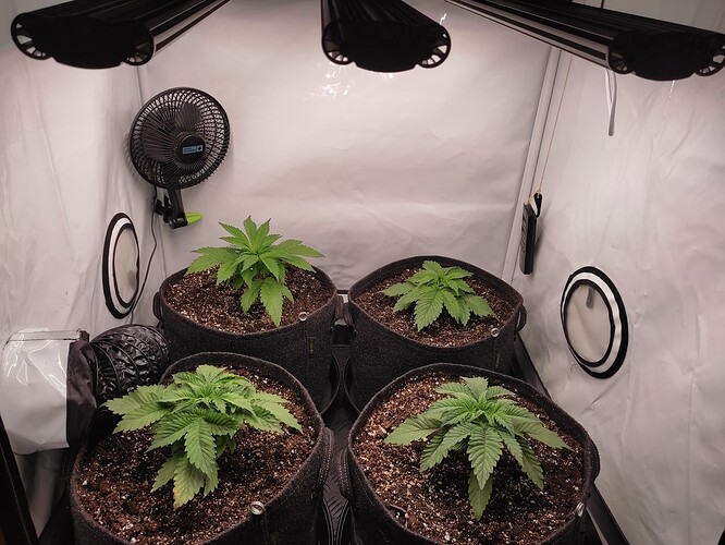 Growreport Bild 26