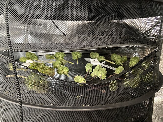 Growreport Bild 11