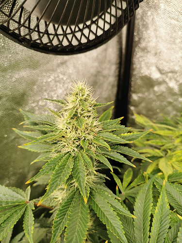 Growreport Bild 11