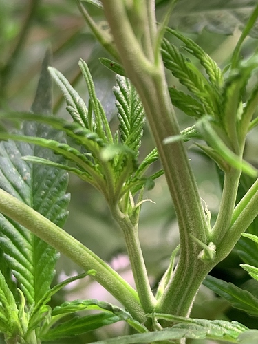 Growreport Bild 14