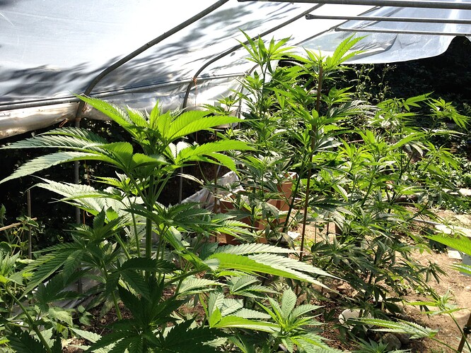 070_SiebterSiebter_11