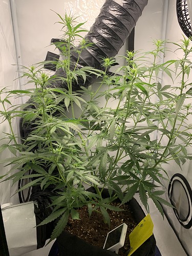Growreport Bild 7