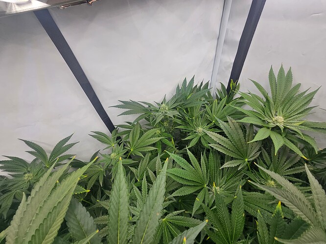 Growreport Bild 4